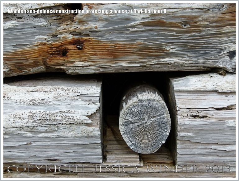 Detail of a sea defence structure built with driftwood timbers