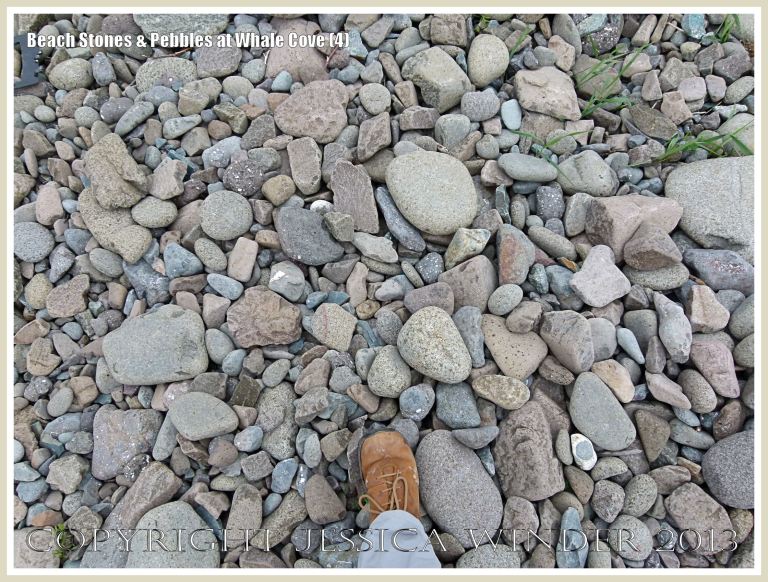 Beach stones at Whale Cove