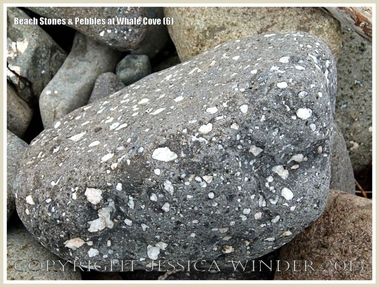 Beach stone shape, texture, and pattern at Whale Cove 