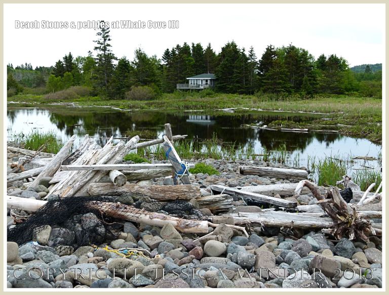 Driftwood on the bank of beach stones that acts as a barrier between the sea and the saltmarsh lake at Whale Cove.