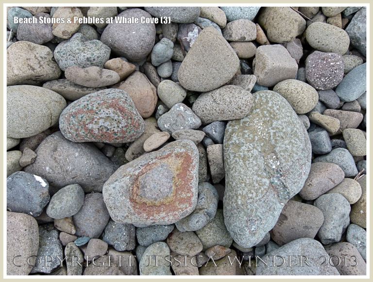 Beach stone shape, texture, pattern, and colour at Whale Cove 