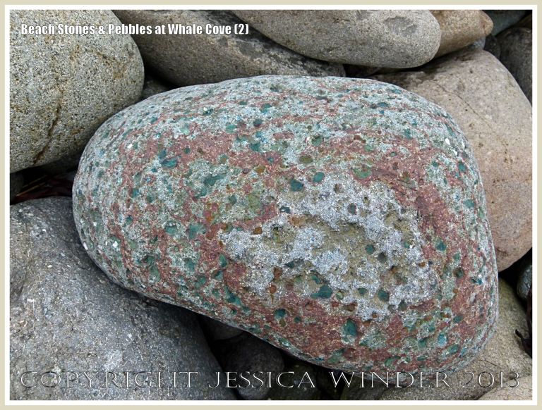 Beach stone shape, texture, and colour at Whale Cove 