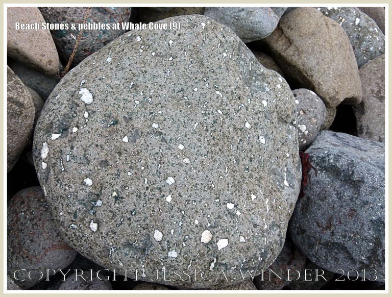Beach stone shape, texture, and pattern at Whale Cove 