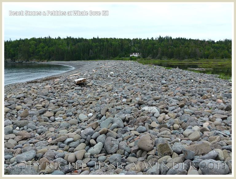 Beach stone barrier at Whale Cove on Grand Manan.