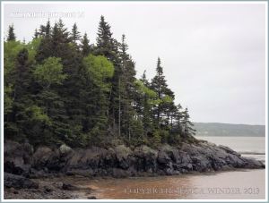 View of a beach at Irving Nature Park, New Brunswick, Canada