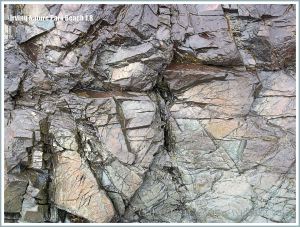 Detail of rock pattern and texture at Irving Nature Park, New Brunswick, Canada