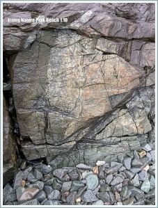 Rock outcrop and beach stones at Irving Nature Park, New Brunswick, Canada