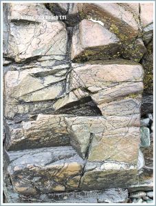 Detail of rock pattern and texture at Irving Nature Park, New Brunswick, Canada