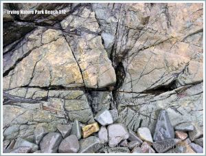 Rock outcrop and beach stones at Irving Nature Park, New Brunswick, Canada