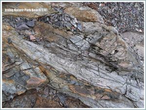 Detail of rock pattern and texture at Irving Nature Park, New Brunswick, Canada
