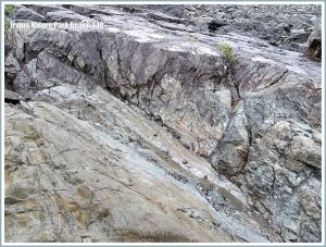 Detail of rock pattern and texture at Irving Nature Park, New Brunswick, Canada
