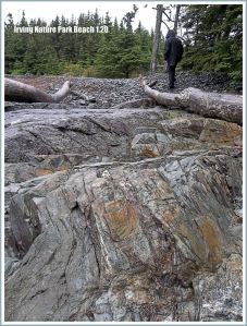 Rock outcrop among beach stones at Irving Nature Park, New Brunswick, Canada