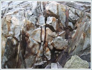 Detail of rock pattern and texture at Irving Nature Park, New Brunswick, Canada