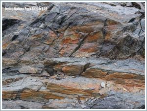 Detail of rock pattern and texture at Irving Nature Park, New Brunswick, Canada