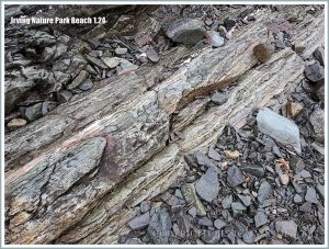 Rock outcrop and beach stones at Irving Nature Park, New Brunswick, Canada