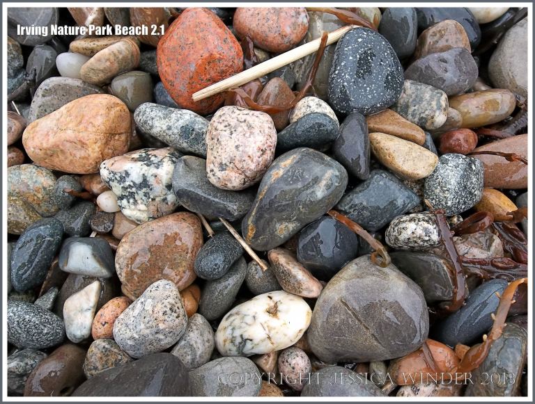 Pebble variety on a New Brunswick beach