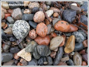 Pebble variety on a New Brunswick beach