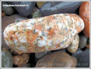 Pebble variety on a New Brunswick beach