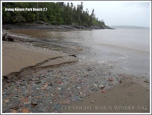 Stream with pebbles on a New Brunswick beach