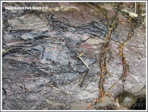 Bedrock with surface polished by a glacier