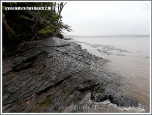 Bedrock with surface polished by a glacier