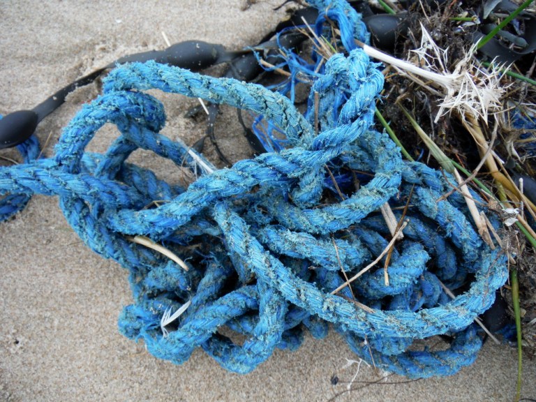 Tangled blue rope washed ashore as flotsam