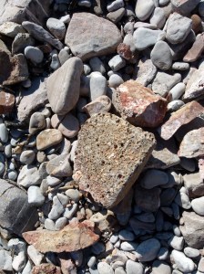 Beach stone with holes mostly made by boring bivalved molluscs