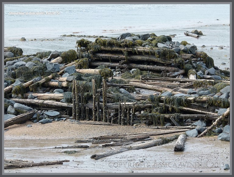 Rocks and timber on the shore at Annapolis Royal