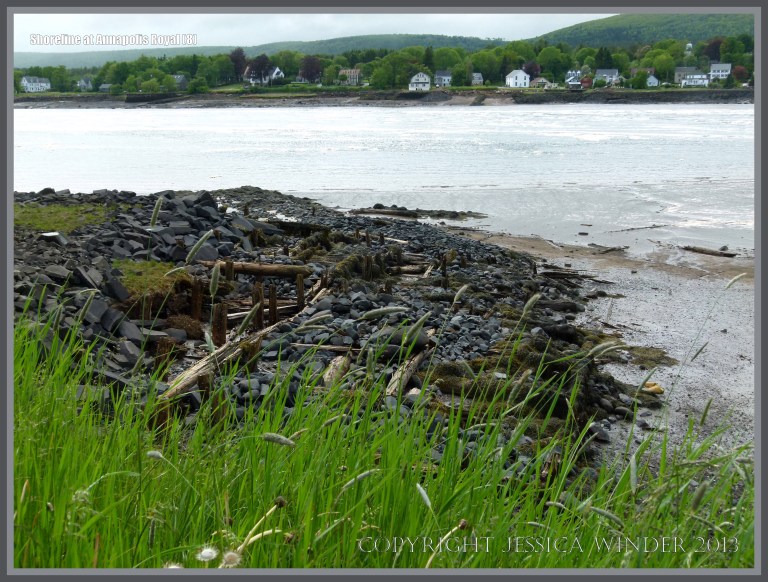 Rocks and timber on the shore at Annapolis Royal