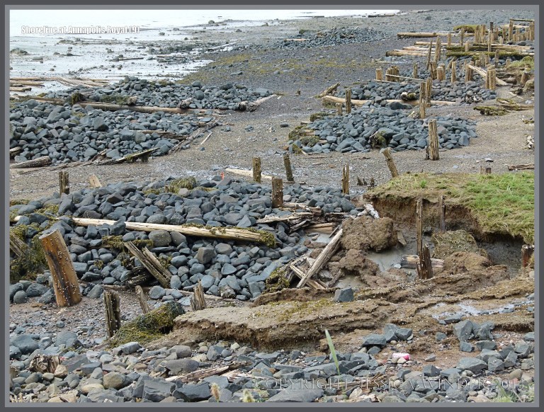Rocks and timber on the shore at Annapolis Royal