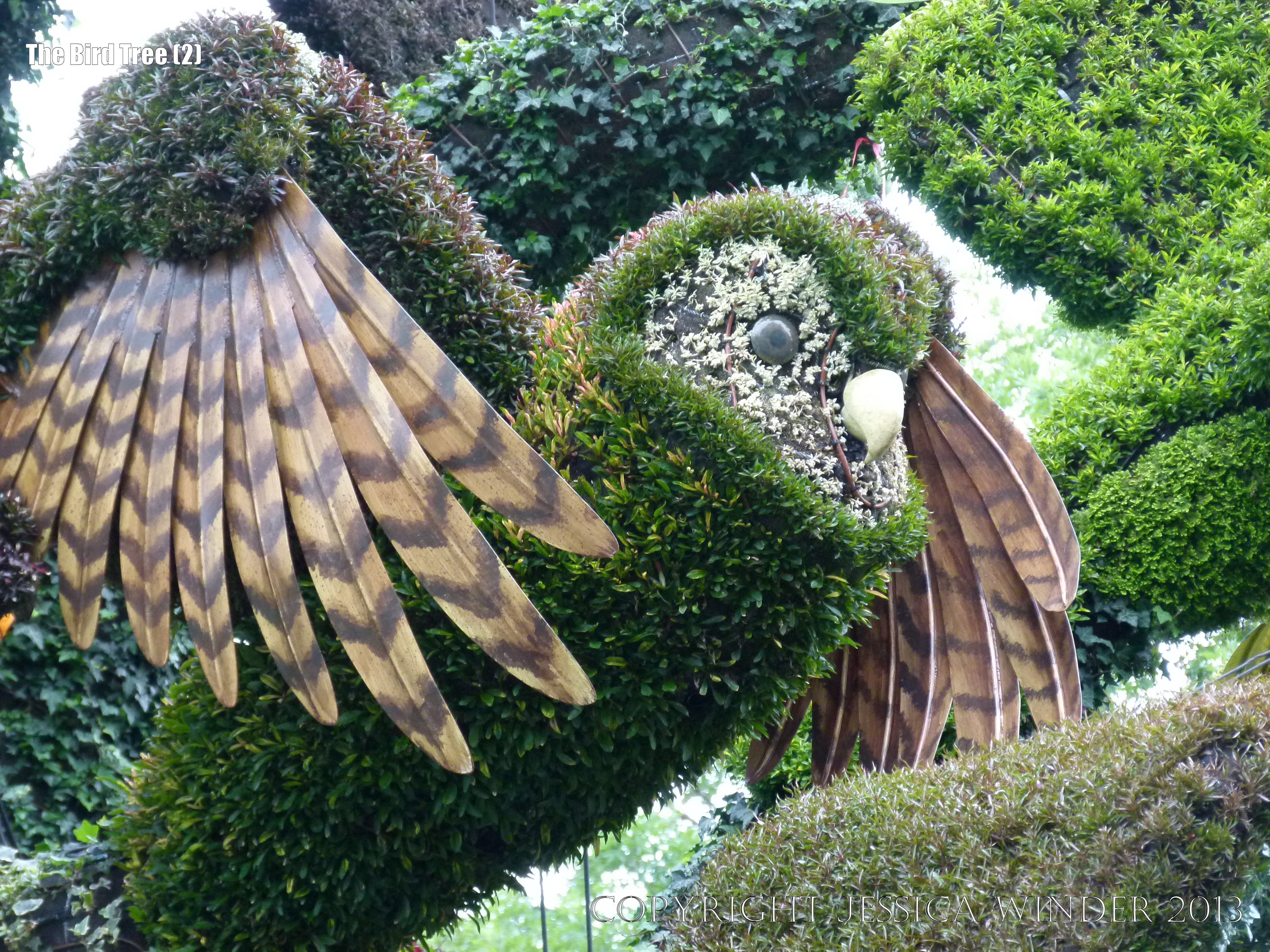 The Bird Tree 2 – Jessica's Nature Blog