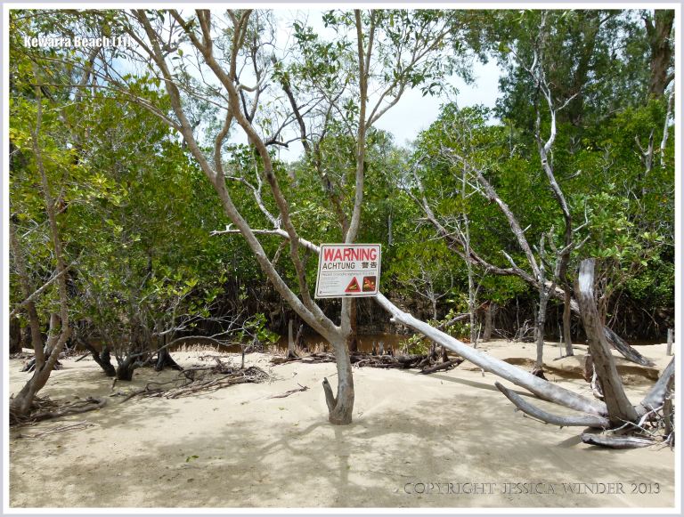 Sign warning of dangerous crocodiles