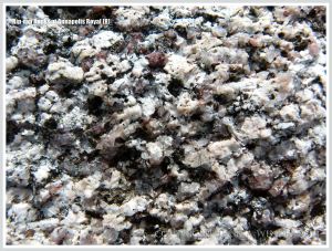 Close-up image of a boulder used for protection against erosion by the sea at Annapolis Royal