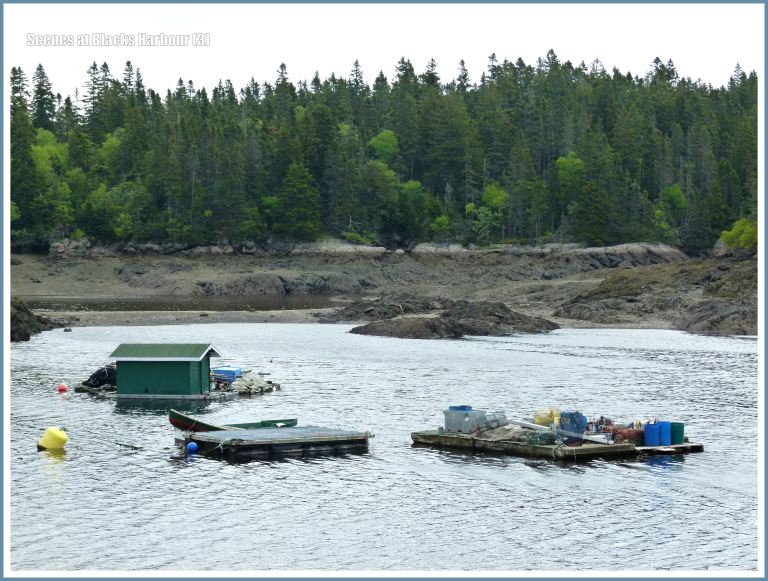 Shoreline and fishing activity at Blacks Harbour