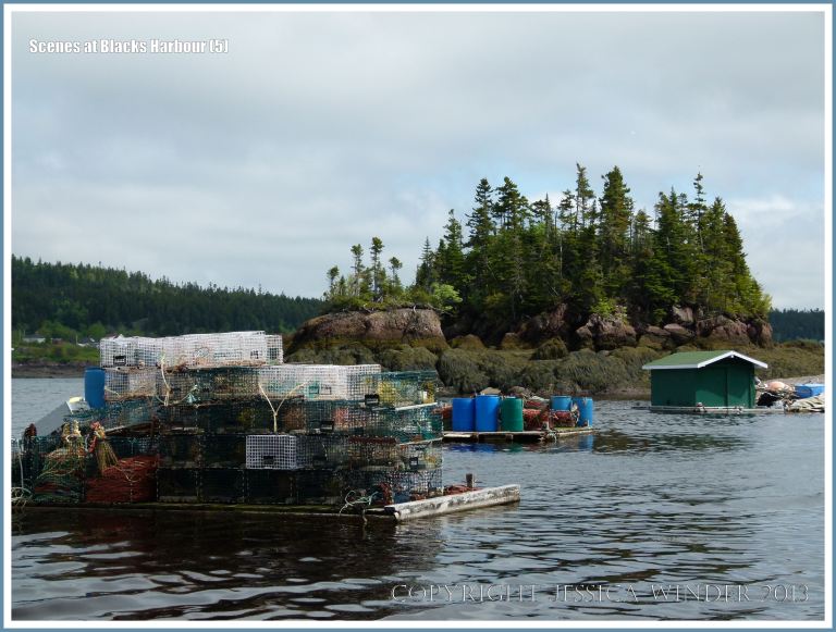 Floating rafts with fishing gear in the Bay of Fundy