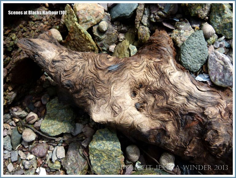 Patterns in driftwood on a stony beach