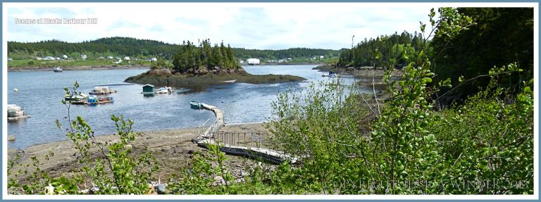 View of the inner harbour area at Blacks Harbour