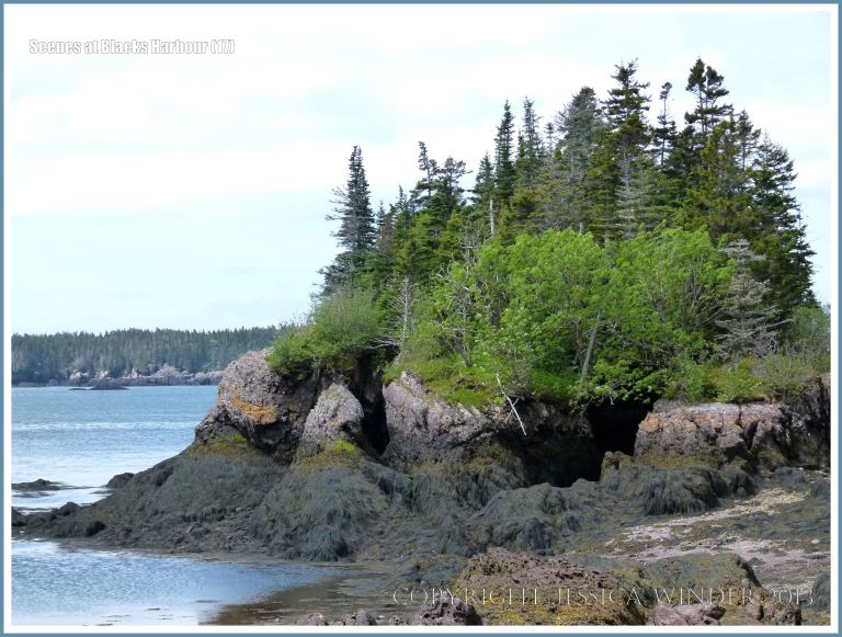 Bay of Fundy inter-tidal zone in New Brunswick