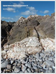 Calcite vein in crack across the rock layers at Rhossili