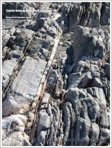 White calcite crystals along the bedding plane between rock layers