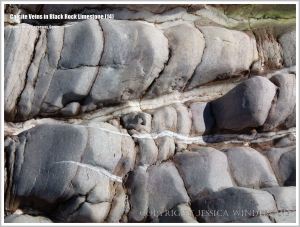 White stripes in grey rocks