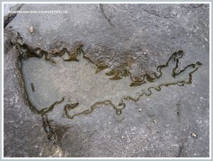 Shallow pool in Carboniferous Limestone with acid etching on the margins