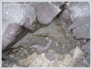 Shallow pool in Carboniferous Limestone with acid etching on the margins