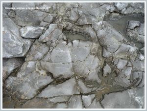 Shallow pools in Carboniferous Limestone with acid etching on the margins