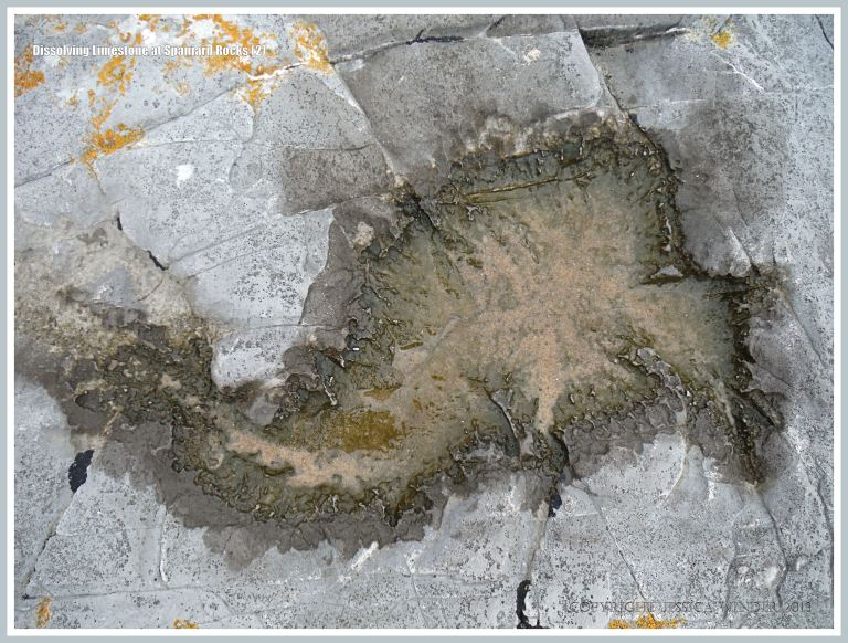 Shallow pool in Carboniferous Limestone with acid etching on the margins