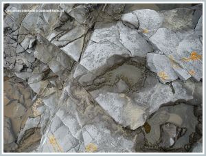 Shallow pools in Carboniferous Limestone with acid etching on the margins