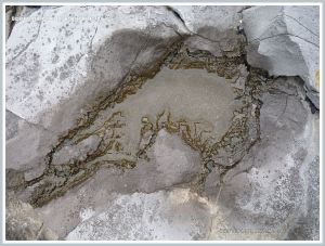 Shallow pool in Carboniferous Limestone with acid etching on the margins