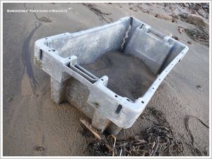 Grey plastic crate washed up on sandy beach