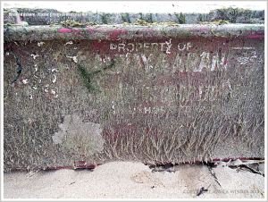 Red fishing crate with white writing washed up as flotsam on sandy beach