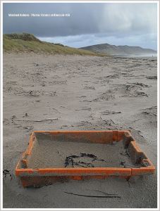 Orange plastic crate flotsam on a sandy beach